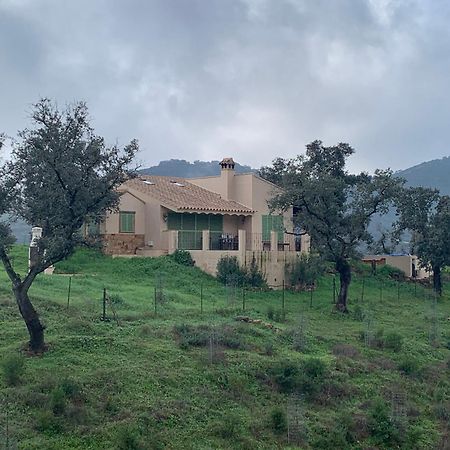 Alojamiento Rural En Aracena. Finca El Rehilete Eksteriør billede